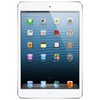 Apple iPad mini 16Gb Wi-Fi + Cellular белый - Зима
