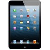 Apple iPad mini 64Gb Wi-Fi черный - Зима